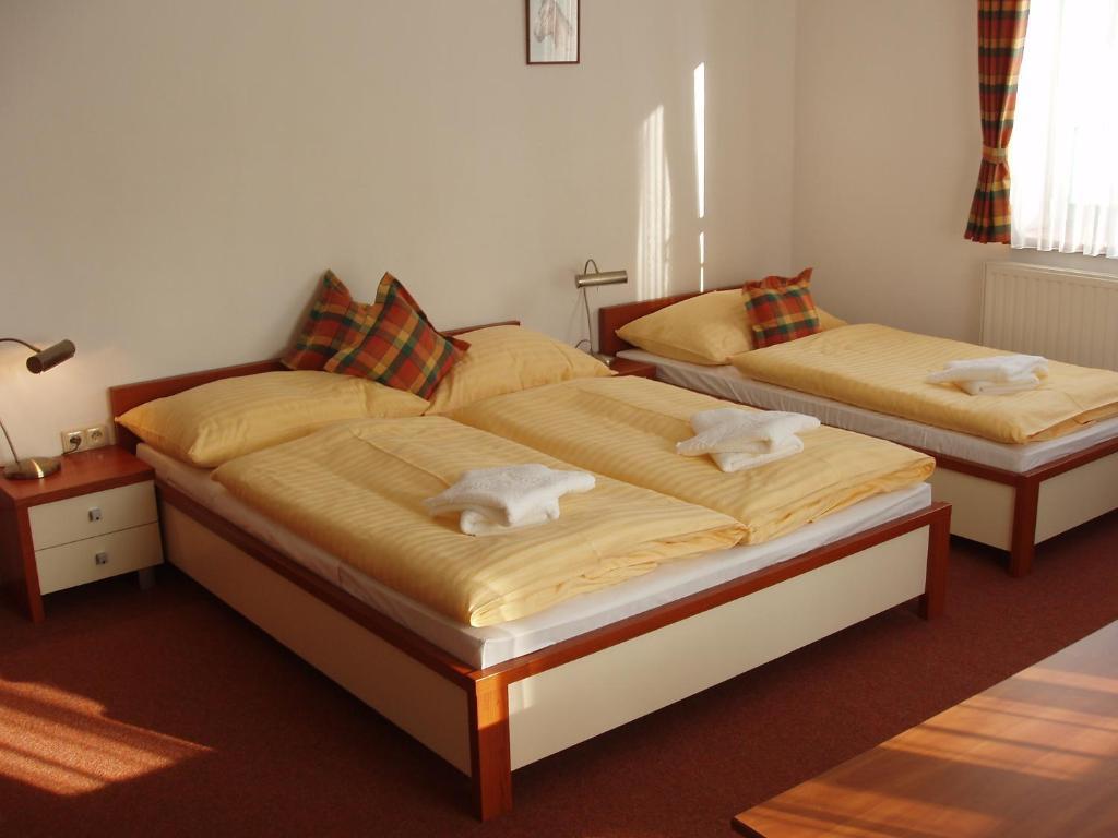 Hotel Loucky Litvínov Rum bild